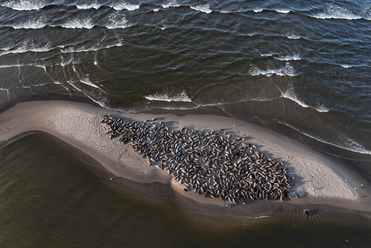 Tin tức thế giới 24-4: - Ảnh 2.