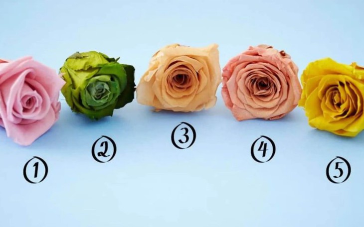 Quiz: Sắp tới vận may nào sẽ ghé thăm bạn? - Ảnh 4.