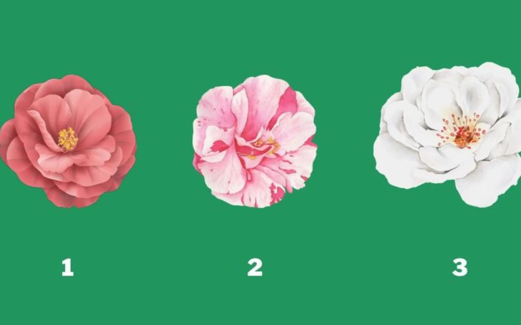 Quiz: Bạn chân thành, hào phóng và rất dễ tha thứ? - Ảnh 4.