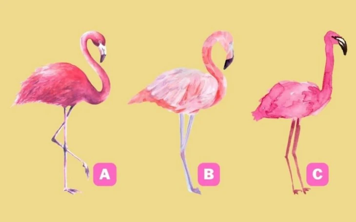 Quiz: Bạn sở hữu tố chất lãnh đạo tự nhiên? - Ảnh 2.