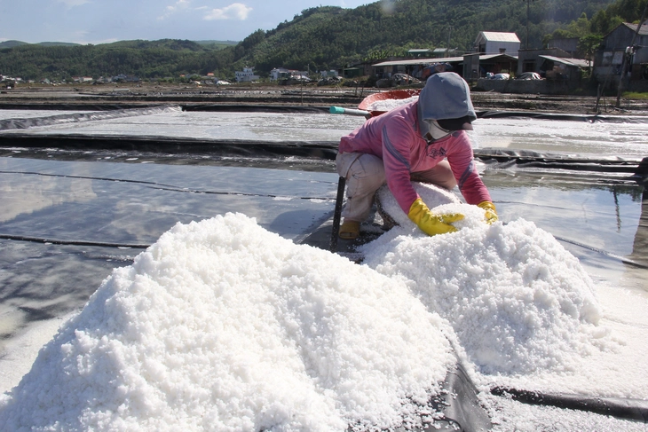 đồng muối Sa Huỳnh - Ảnh 2.