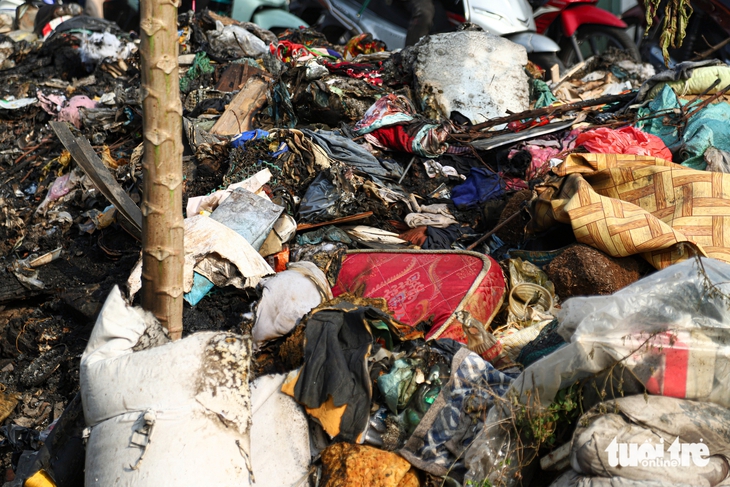 rác - Ảnh 6.