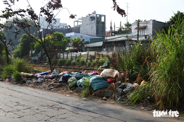 rác - Ảnh 9.