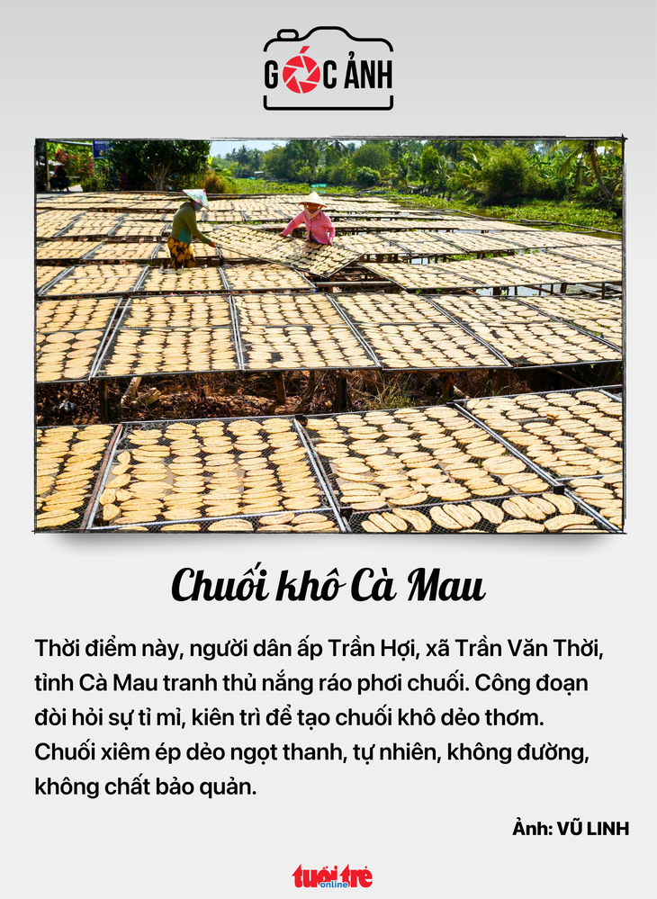 tin tức - Ảnh 6.