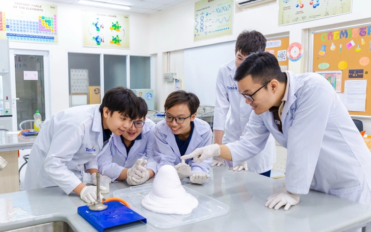 Thủ tướng: Sáp nhập, giải thể cơ sở giáo dục đại học, giáo dục nghề nghiệp không đạt chuẩn - Ảnh 2.