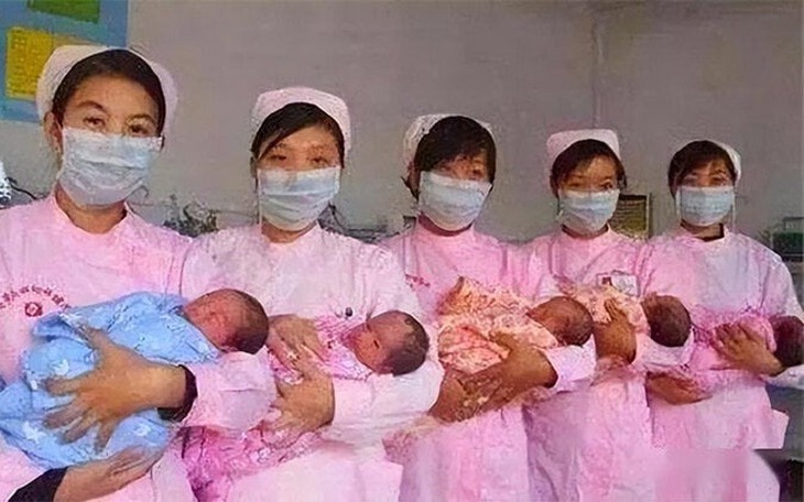 Nữ streamer bị ép nhảy vào bể cá sấu - Ảnh 2.