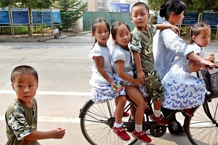 ca sinh 5 - Ảnh 2.