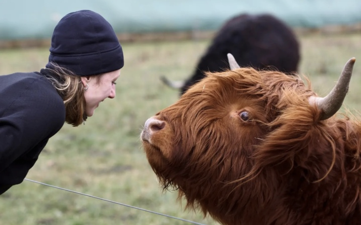 Muốn ảnh 'đu trend' cõi mạng, cập nhật ngay promt này! - Ảnh 4.