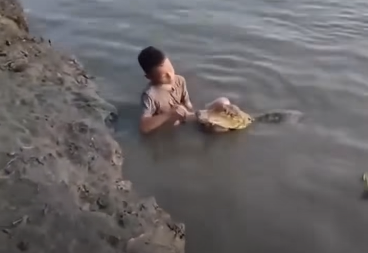 Thực hư clip cậu bé đánh răng cho cá sấu đang viral - Ảnh 1.