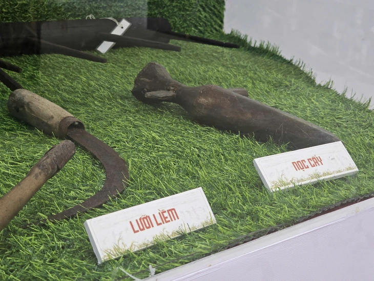 Bảo tàng lúa nước - Ảnh 6.