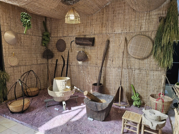 Bảo tàng lúa nước - Ảnh 7.