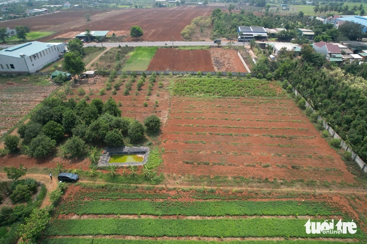 Đất giao làm dự án, hạn đầu tư đã hết mà vẫn chưa triển khai - Ảnh 3.