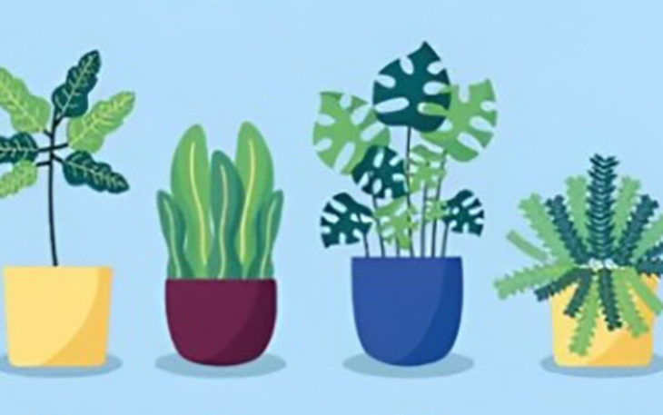 Quiz: Bạn được mọi người nhìn nhận như thế nào? - Ảnh 2.