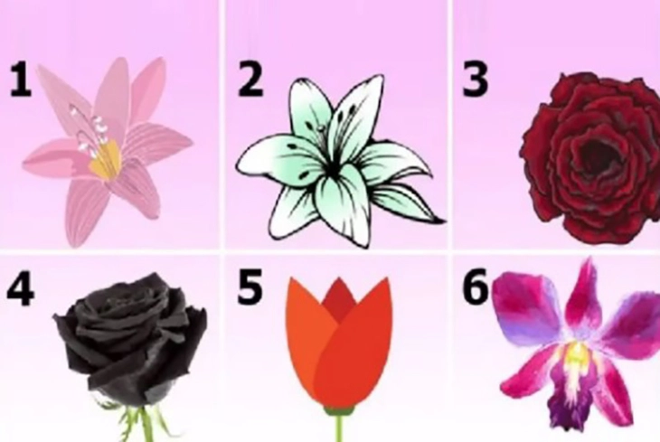 quiz - Ảnh 1.