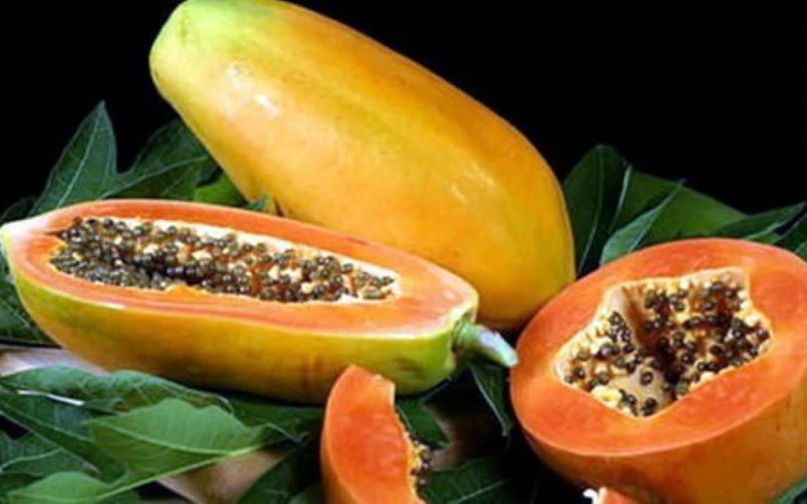 Ăn việt quất có thể giúp người lớn tuổi cải thiện tâm trạng? - Ảnh 2.