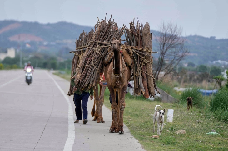 Tin tức thế giới sáng 27-4:  - Ảnh 1.