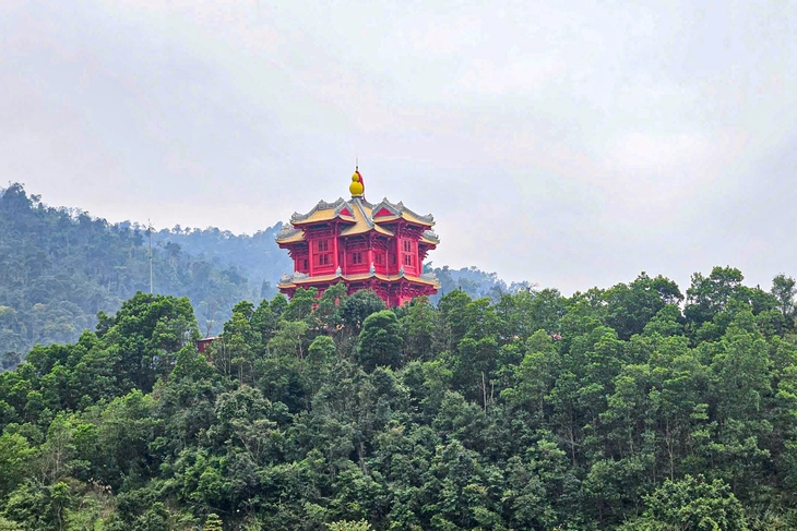 ong đốt - Ảnh 3.