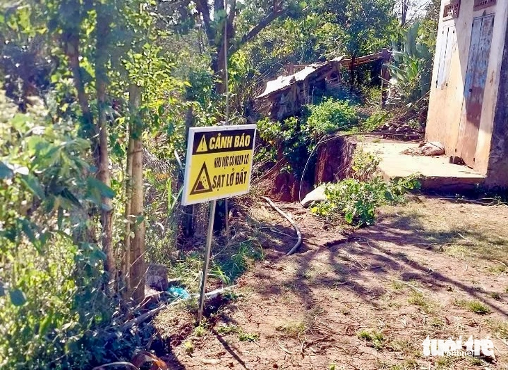 bỏ hoang - Ảnh 3.