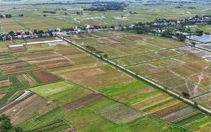 Đất vướng quy hoạch, có được cất nhà? - Ảnh 2.