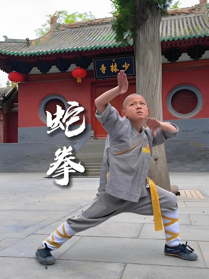 kung fu - Ảnh 2.