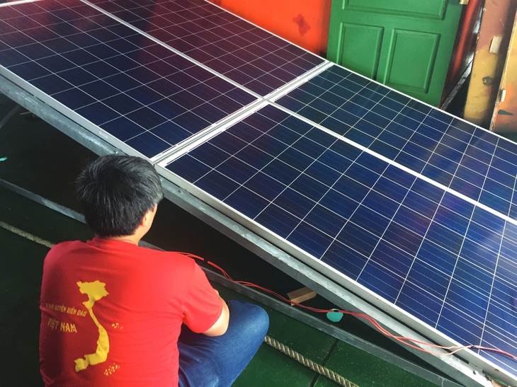 đại bàng - Ảnh 5.