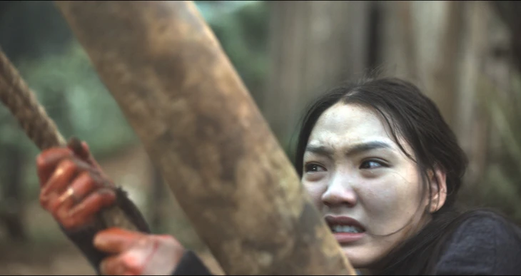 Hàm Trần - Ảnh 2.