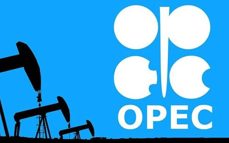 Nga khẳng định sẽ ở lại OPEC+, hy vọng liên minh không tan rã - Ảnh 3.