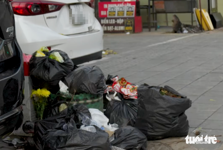 bãi rác - Ảnh 3.