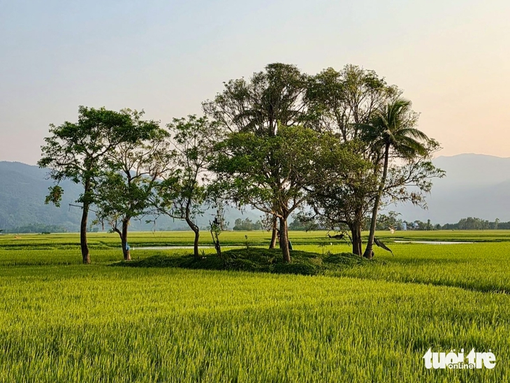 Hẹn em ngày nhật thực - Ảnh 18.