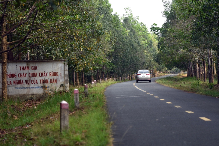 Đồng Nai - Ảnh 3.