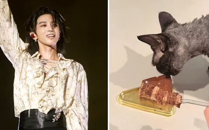 Trách nhiệm của Cẩm Ly, Hòa Minzy trong câu hát 'lúa chín không cúi đầu' - Ảnh 5.