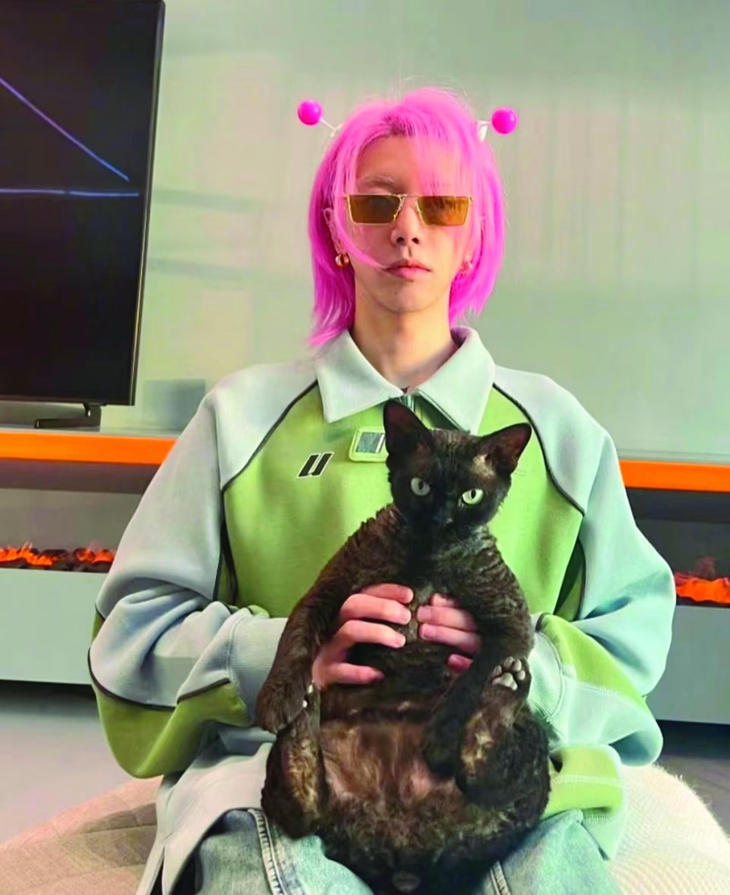 mèo ăn bánh chocolate - Ảnh 3.