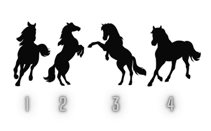 Quiz: Bạn là người tốt bụng và rất chu đáo? - Ảnh 4.