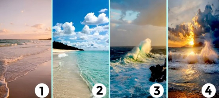 quiz - Ảnh 1.