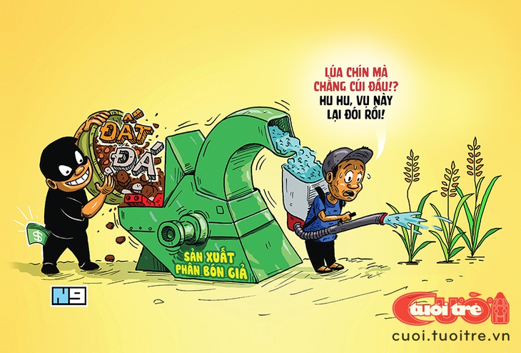 Bác nông dân khóc ròng vì 'lúa chín chẳng chịu cúi đầu' - Ảnh 1.