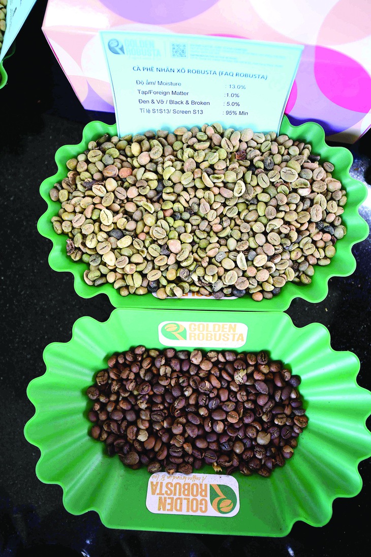 Cà phê nhân xanh (đĩa trên) sản phẩm xuất khẩu của Golden Robusta. Ảnh: QUANG ĐỊNH
