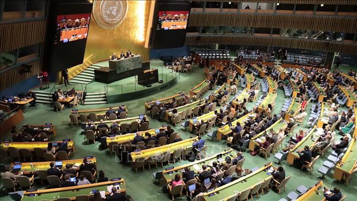 Việt Nam chủ trì phiên khai mạc Hội nghị kiểm điểm Hiệp ước NPT lần thứ 11 - Ảnh 3.