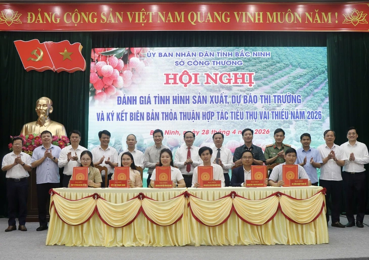 vải thiều - Ảnh 1.