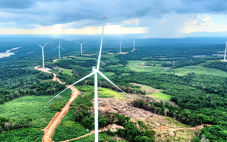 Thủ tướng Lê Minh Hưng chỉ đạo hoàn thiện quy định các sắc thuế, chú trọng nuôi dưỡng nguồn thu - Ảnh 4.