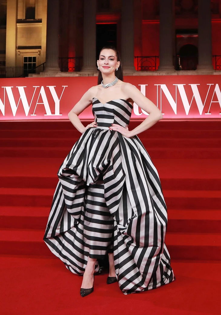 Anne Hathaway - Ảnh 10.
