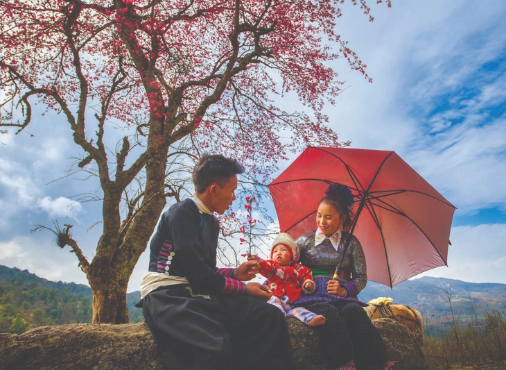 pháo hoa - Ảnh 10.