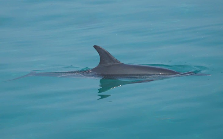 Nghỉ lễ dài ngày, đừng biến chuyến đi chơi vui vẻ thành những cuộc 'chạy show' - Ảnh 3.