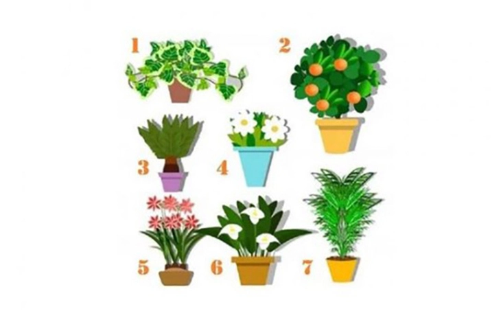 Quiz: Chọn hình bóng mèo để khám phá những điểm mạnh nổi bật của bạn - Ảnh 2.