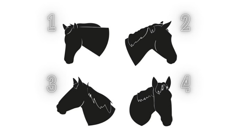 quiz - Ảnh 1.