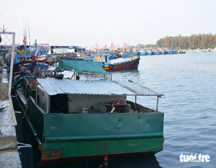 Lâm Đồng - Ảnh 2.