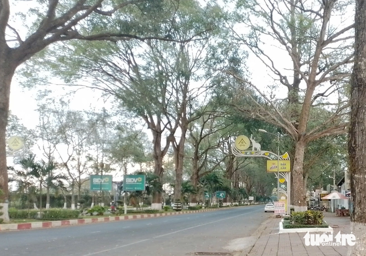 cao tốc - Ảnh 2.