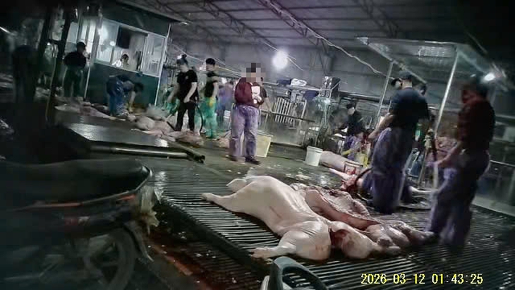 Cường Phát - Ảnh 3.