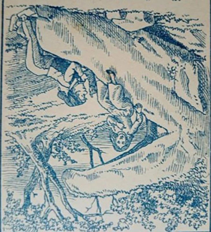 Thử tài tinh mắt - Ảnh 2.