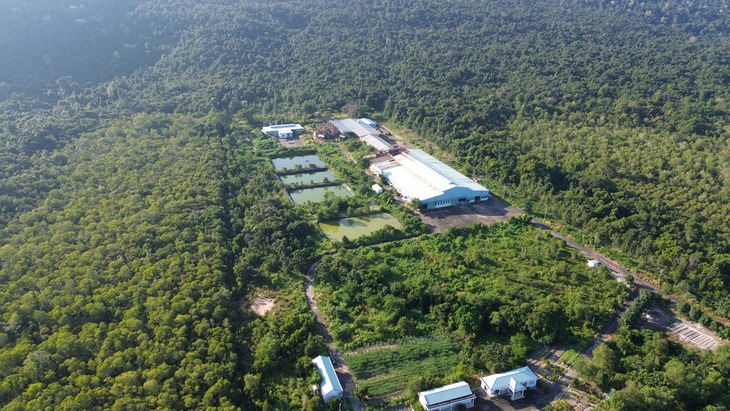 Phú Quốc - Ảnh 2.