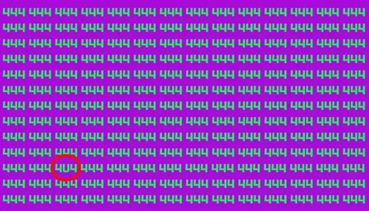 Thử tài tinh mắt - Ảnh 4.